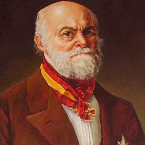 25 ноября - Николай Иванович Пирогов Николай Иванович Пирогов