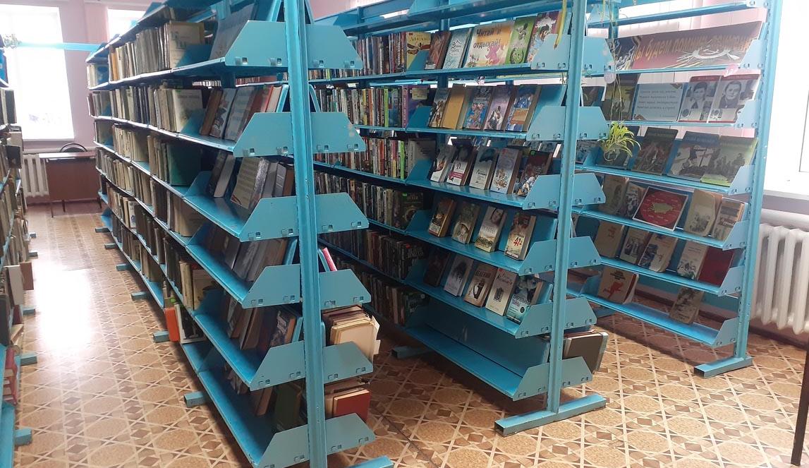 Шило-Голицынская сельская библиотека