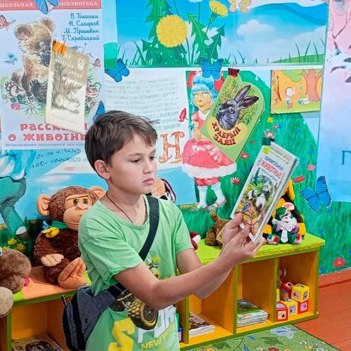 Парящие книги о природе