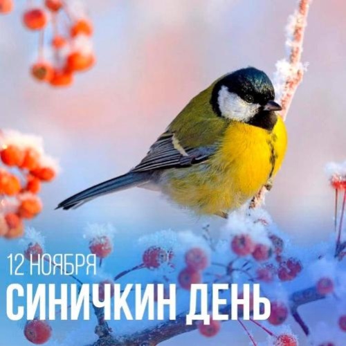 12 ноября - Синичкин день Синичкин день