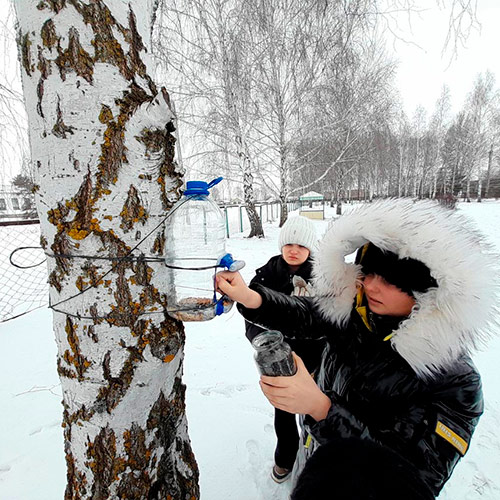 Пернатые соседи: встречаем зиму вместе