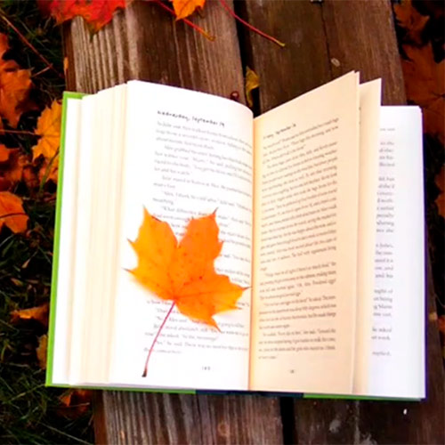 Осень. Книга. Лист осенний…