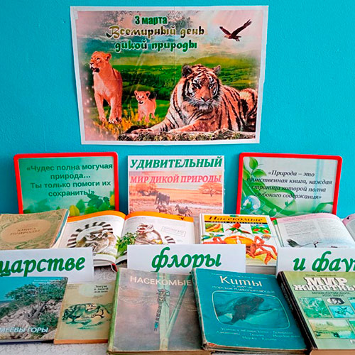 Удивительный мир дикой природы