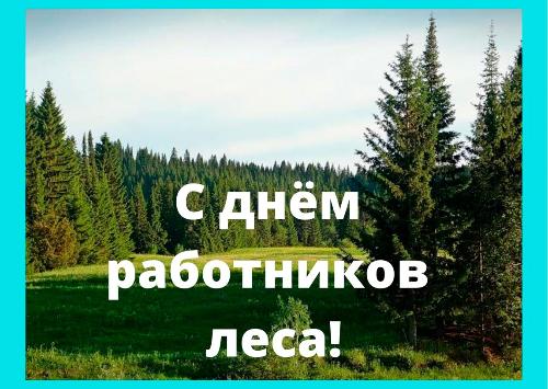 Лес - наша жизнь и судьба