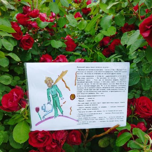 Под звездой Сент-Экзюпери