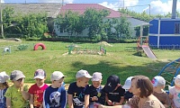 Прикосновение книжного лета