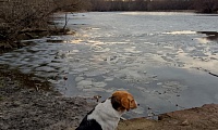 Вода - Великое чудо природы!