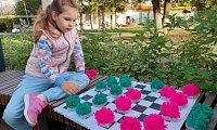Книжный пикник
