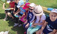 Прикосновение книжного лета