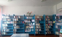 Владыкинская сельская библиотека