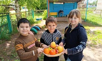 Зеленые загадки, что растут на грядке