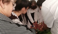 Вечная память тебе, Беслан