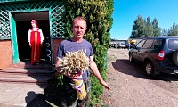 Праздник первого снопа