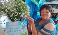 Семья на страницах литературных произведений