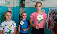 Ромашки нежный лепесток