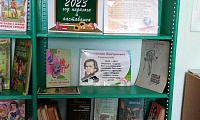 Ерышевская сельская библиотека