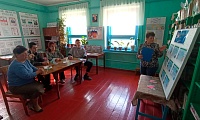 Белый голубь — символ мира