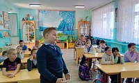 Мягкие лапки, а в лапках царапки