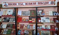 Цикл книжно-иллюстративных выставок