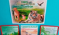 мир дикой природы
