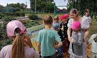Книжный день лета