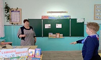 Мягкие лапки, а в лапках царапки