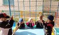 Волшебный мир аленького цветочка