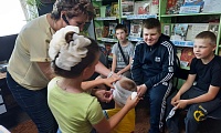 Терроризм. Предупрежден – значит вооружен