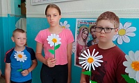 Ромашки нежный лепесток