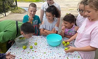 Не зная броду – не суйся в воду!