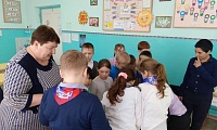Мягкие лапки, а в лапках царапки