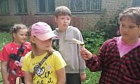 Лес полон чудес