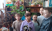 Тайны книжных полок