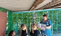 Книжка на ладошке – 2024