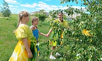 Троицу гуляем, лето встречаем!
