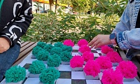 Книжный пикник