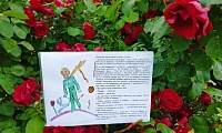Под звездой Сент-Экзюпери