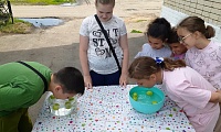 Не зная броду – не суйся в воду!