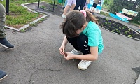 Морской круиз на библиокорабле