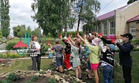 Загадки на каждом шагу