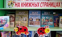Курганская сельская библиотека
