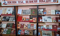 Цикл книжно-иллюстративных выставок