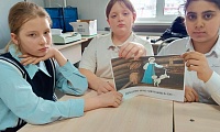 По дорогам сказок А. С. Пушкина