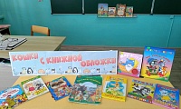 Мягкие лапки, а в лапках царапки
