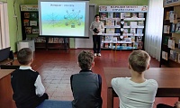 Путешествие в Вебландию
