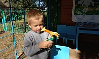 День журавля