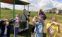 В поисках символа России