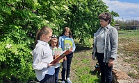 Чудеса природы