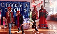 Рождественские забавы