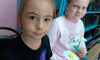 Ромашки нежный лепесток